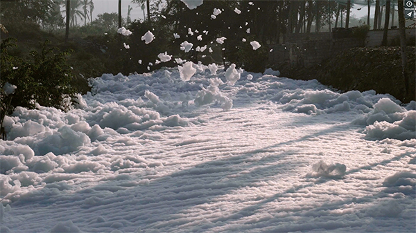 A field of snow surrounded by trees