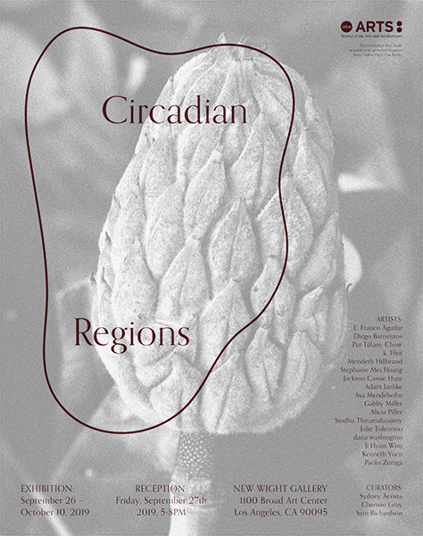 2019 Southern California M.F.A. Theme Exhibition: Circadian Regions